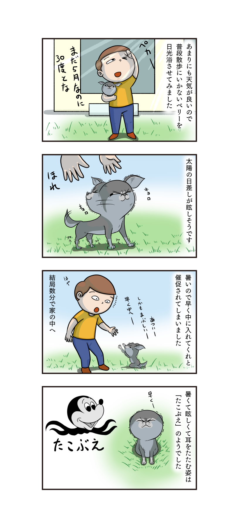 第199話 たこぶえ うちの4コマ劇場 第199話 たこぶえ うちの4コマ劇場