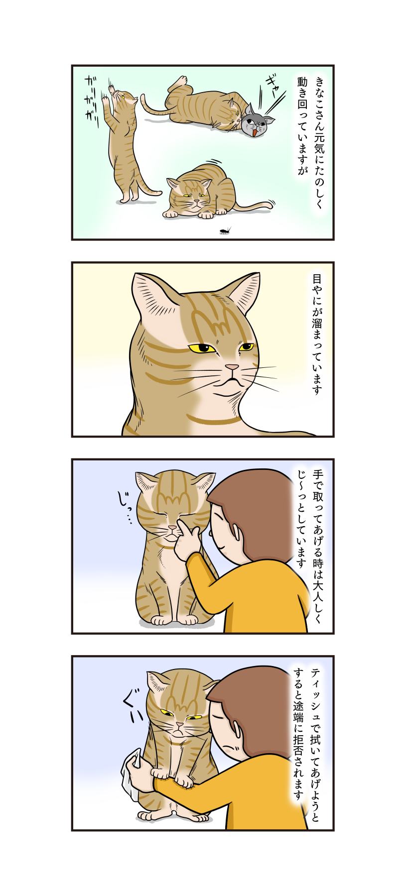第149話 目やにを取りたいだけなのに うちの4コマ劇場 第149話 目やにを取りたいだけなのに うちの4コマ劇場