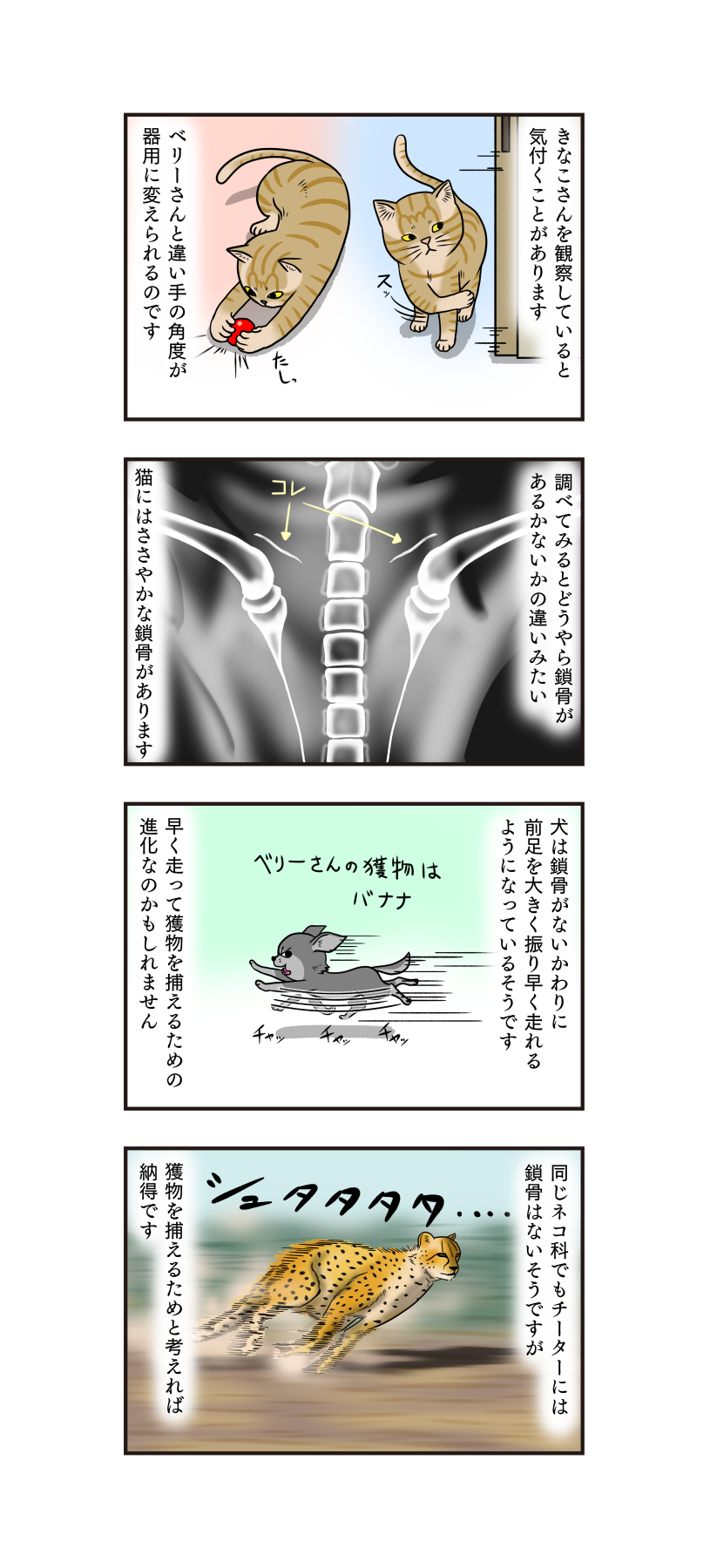 第528話 器用な猫の手 : うちの4コマ劇場