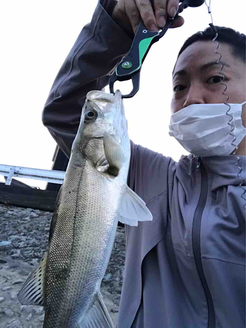 21シーバス ブラックバス ヤタガラスの奮闘記 いつか大物釣ろう