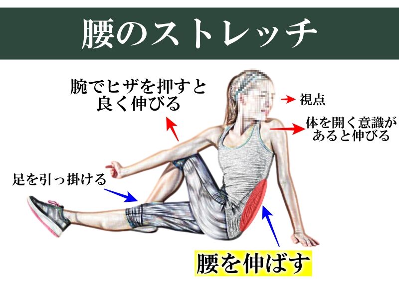 5月2日:今日やりたいストレッチ5選!体側・腰のストレッチ : きんにく様の言うとおり Powered by ライブドアブログ