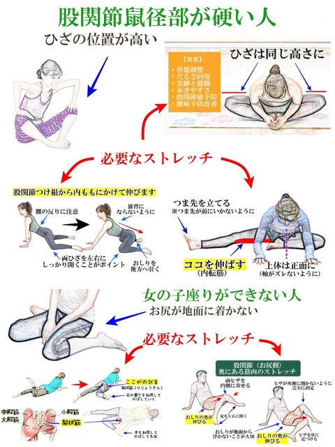 股関節を硬いままにしないで！今日やりたいストレッチ（2024年9月16日） : きんにく様の言うとおり Powered by ライブドアブログ