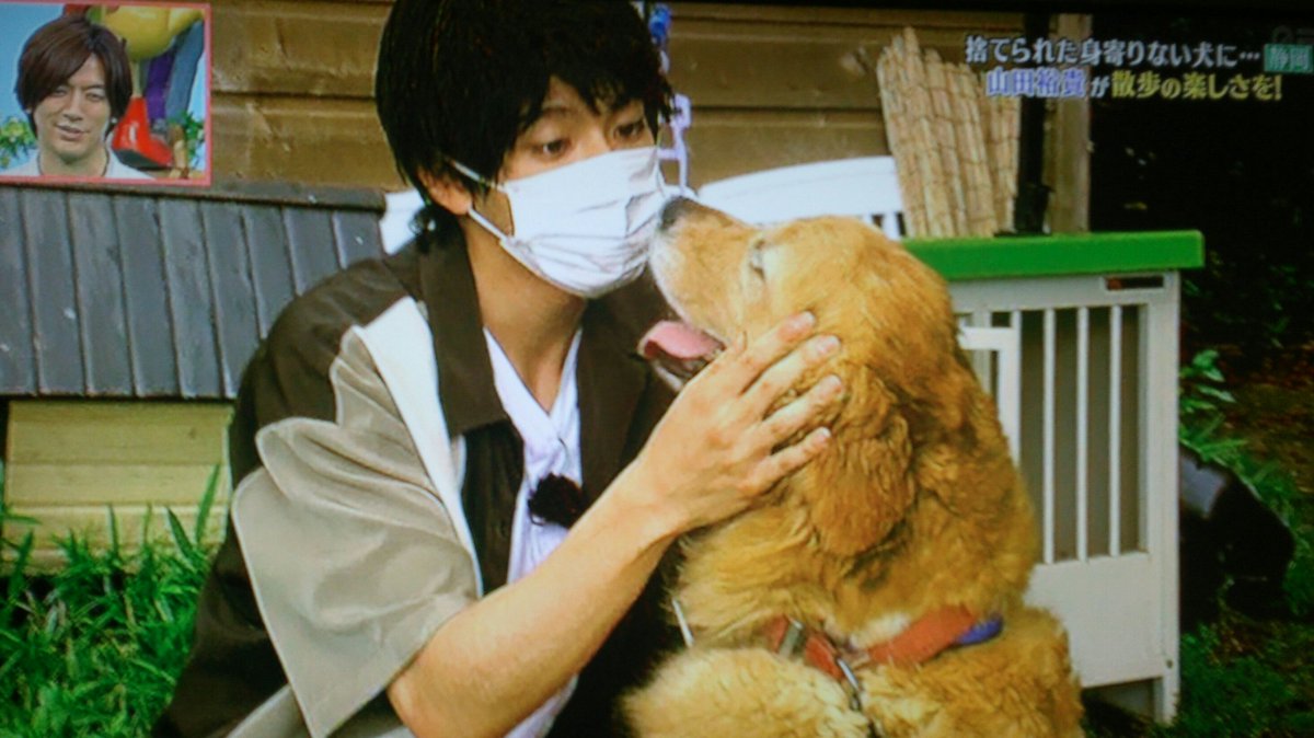 素敵なお話 世間は狭いしつながっているんだなぁーって 山田裕貴 志村どうぶつ園で触れ合った保護犬 家族の知り合いが里親に 感動 早早ほやほやトピックス 素敵なお話 世間は狭いしつながっているんだなぁーって 山田裕貴 志村どうぶつ園で触れ合った保護犬 家族の知り合いが里親に 感動 早早ほやほやトピックス