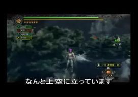 モンスターハンター3