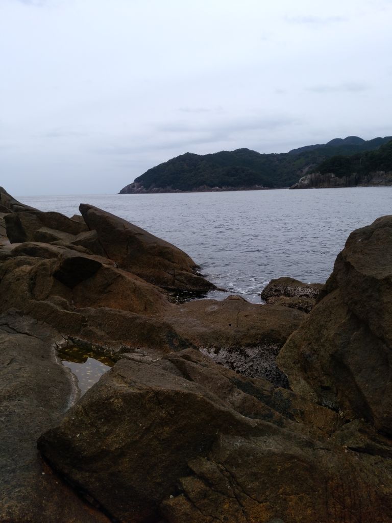 19 01 12 土 七里御浜 有馬 早田地磯 ちんの釣りブログ 19 01 12 土 七里御浜 有馬 早田地磯 ちんの釣りブログ