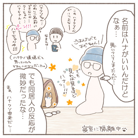 続々ハナちゃん18