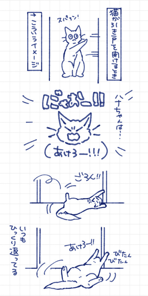 引き戸