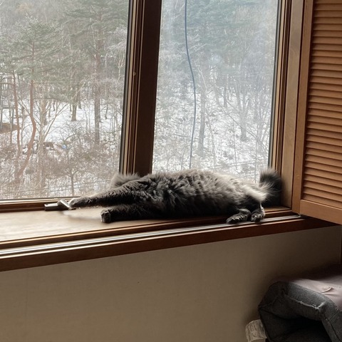 F8D65D60-8284-42A8-9262-4A226EEB1038