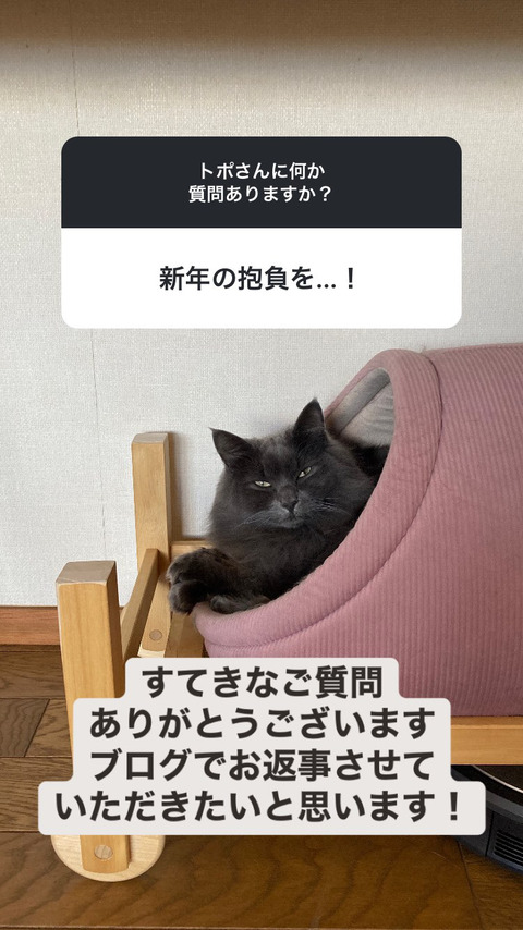 62C299E8-3016-499F-A60E-406C277E514B