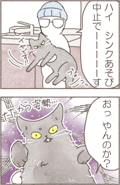 1.トポめがね1