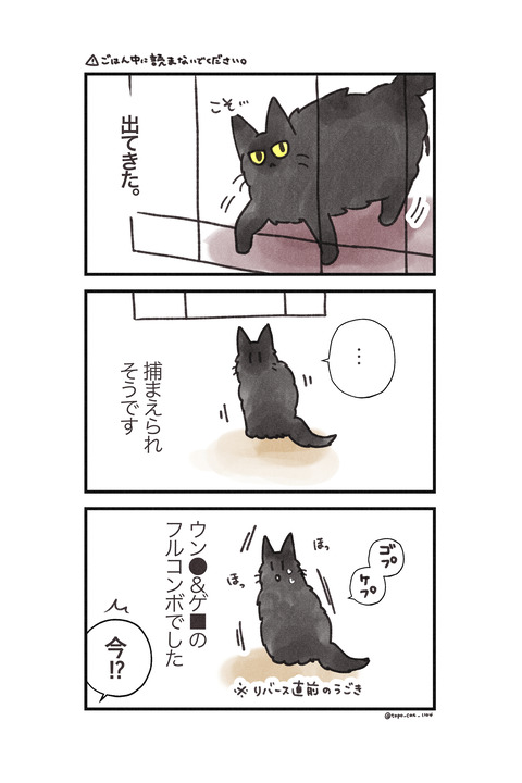 おしり3