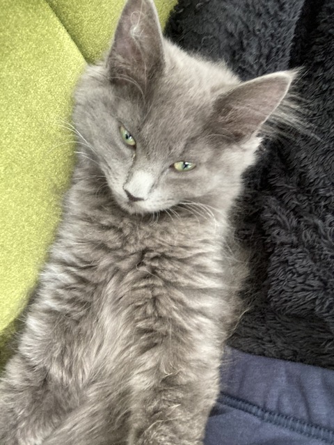 25DE5873-82A3-4945-94DC-1B30DF78A7C3