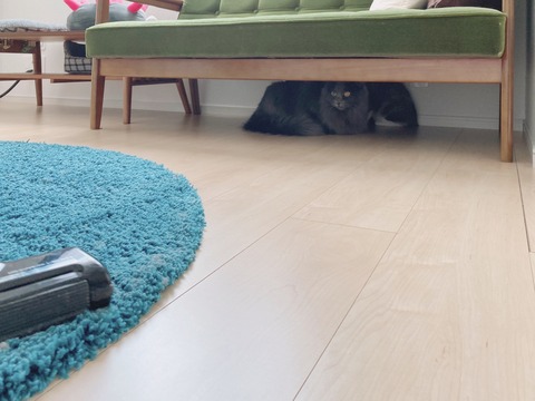 2EFA056A-AFBE-4594-852A-DC4D99AE51E4