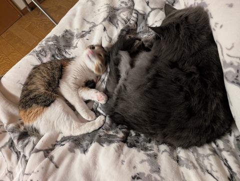 07E19DEC-4A11-49F9-8AF8-DE0D88E2702B