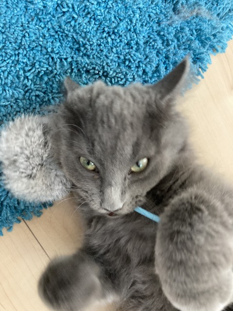 596EBDDD-2215-4AE7-94B5-2CF4940F65EC