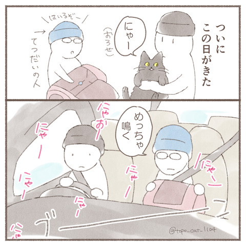 トポ手術