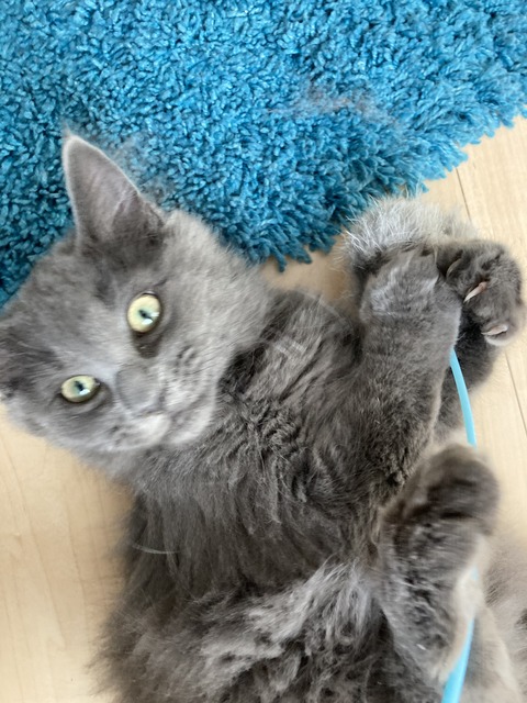 433832AD-EC5F-4240-BDBF-D5FD90B9A905