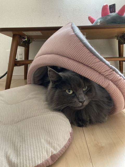 8ECEB312-790E-4956-B28C-A174C6368B7E