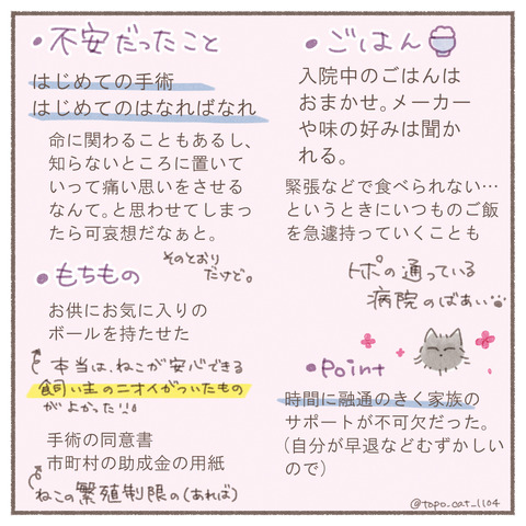 トポ手術8