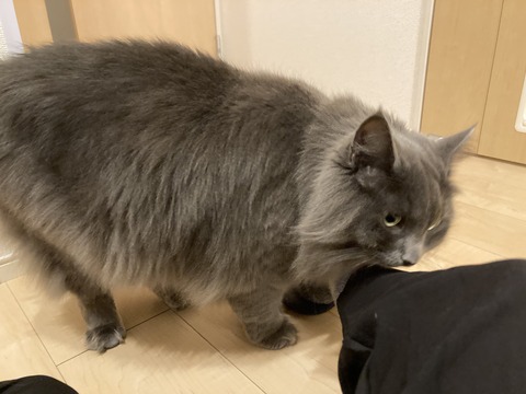 2B3437CD-FC8C-4EF6-BACC-1B012573765D