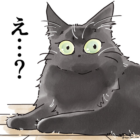 いくの?