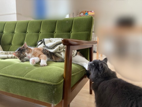 52E145AA-96C2-44E8-BE2C-43EFC8791E9A