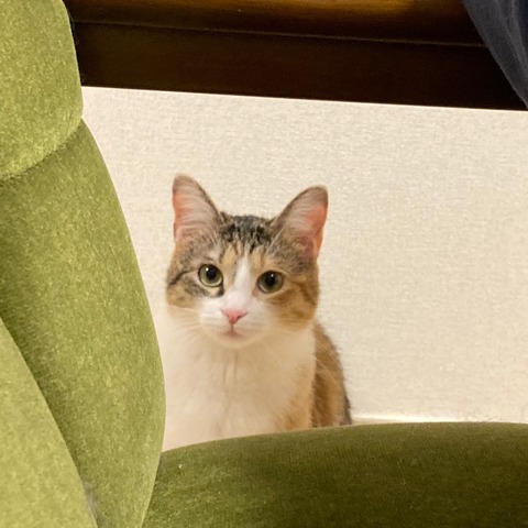 4E1131DB-CFA7-4457-92FB-99427630D716