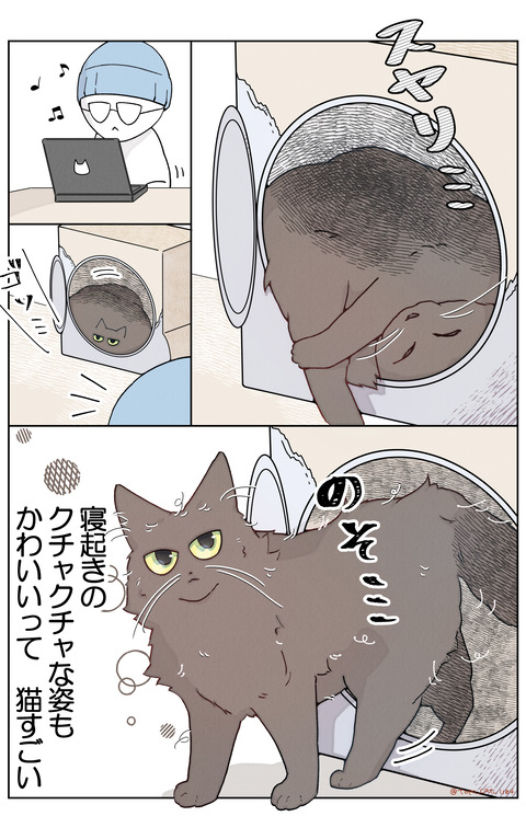 ねぐらリサイズ