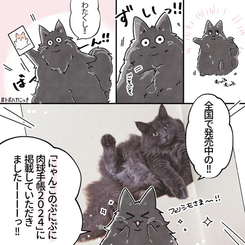 トポフェリシモ1