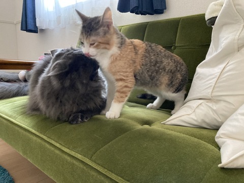 816C3B98-8A49-4598-9343-48B11C2F3A49