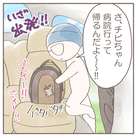 続々ハナちゃん11