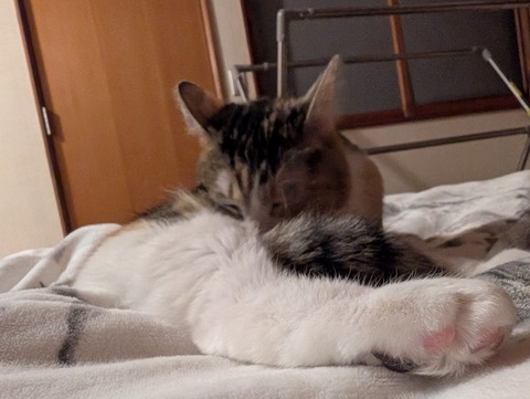 B16130F8-8534-46F9-AE8D-96018D862499