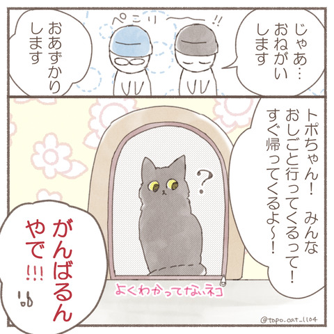 トポ手術6