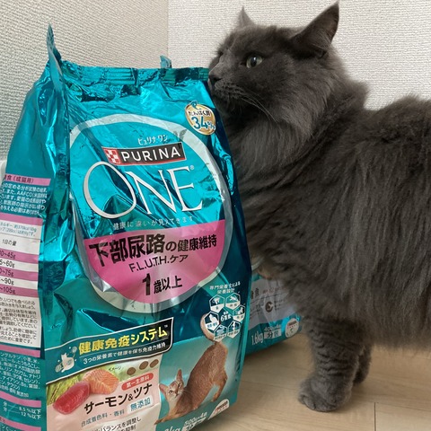 737D42B9-4F3D-4244-AEBE-44C721EC3141