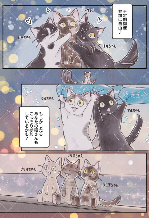 43海
