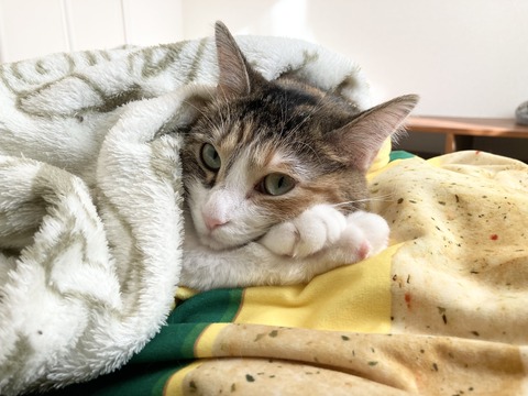 8715D3C5-E93A-4DC8-878B-341A43D5FE63