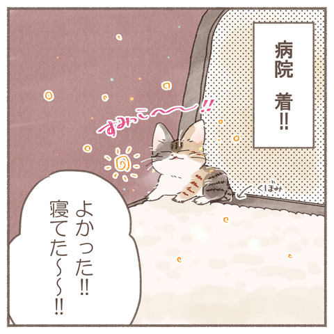 続々ハナちゃん13