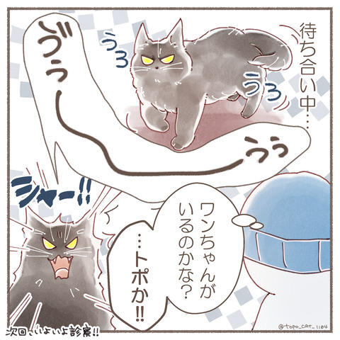 トポ病院13