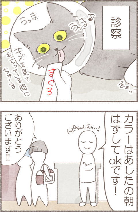 5トポえりまき3.1