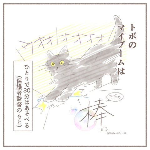 トポ棒