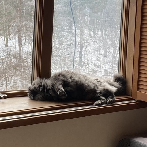 5776CFB1-938C-4665-9507-E34B493D59C6