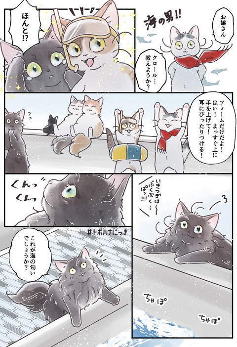 17海
