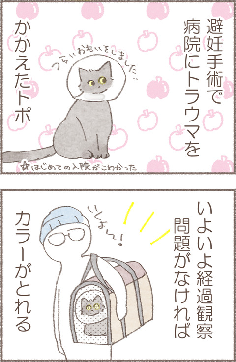 3.トポえりまき1.1