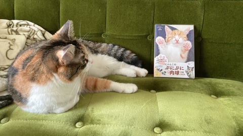 FF167AE5-EEBF-409A-A40E-63DF0EF23CD6