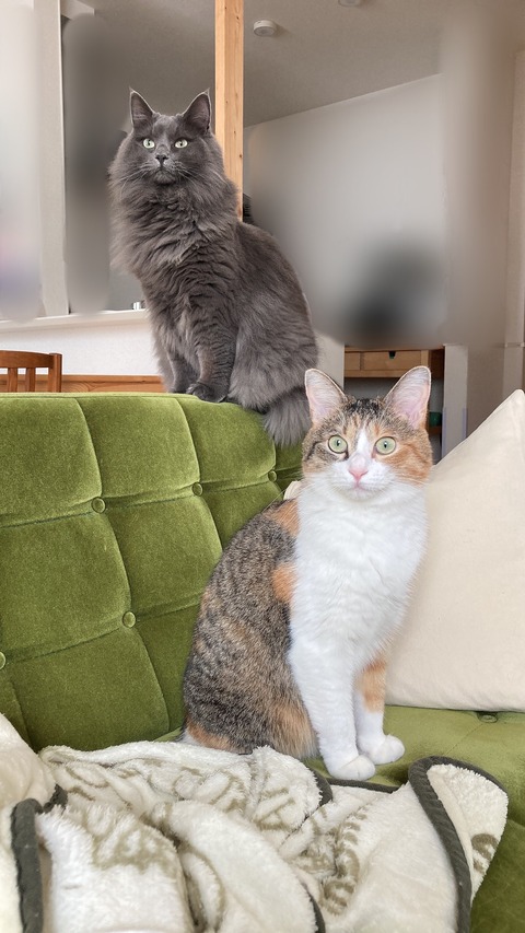 A9685275-3BAC-44B4-8502-7669E14DDEB2