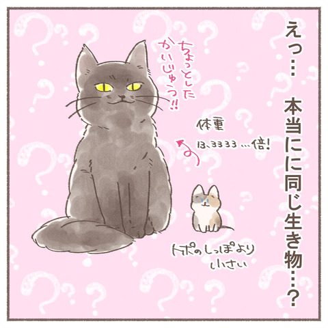 続々ハナちゃん17