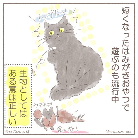 トポ棒2