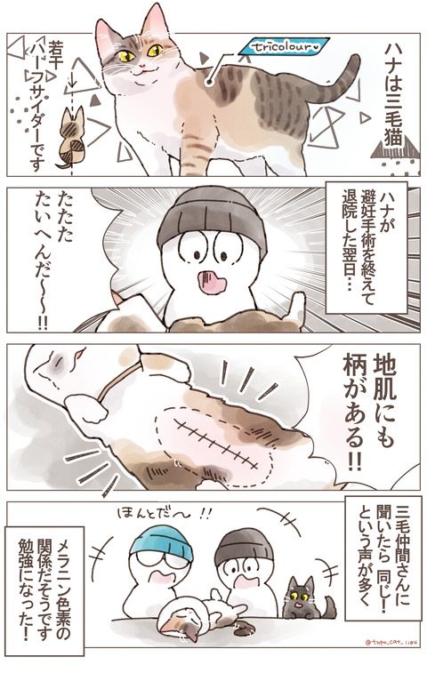 おなかリサイズ