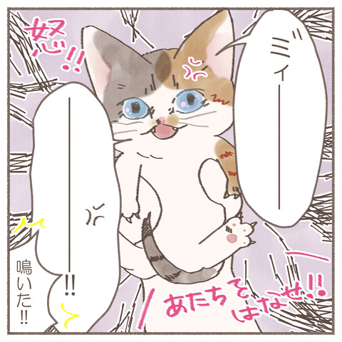 続々トポハナちゃん9