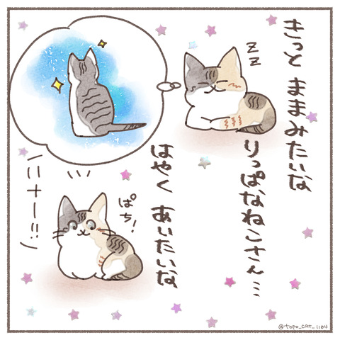 ハナ物語5